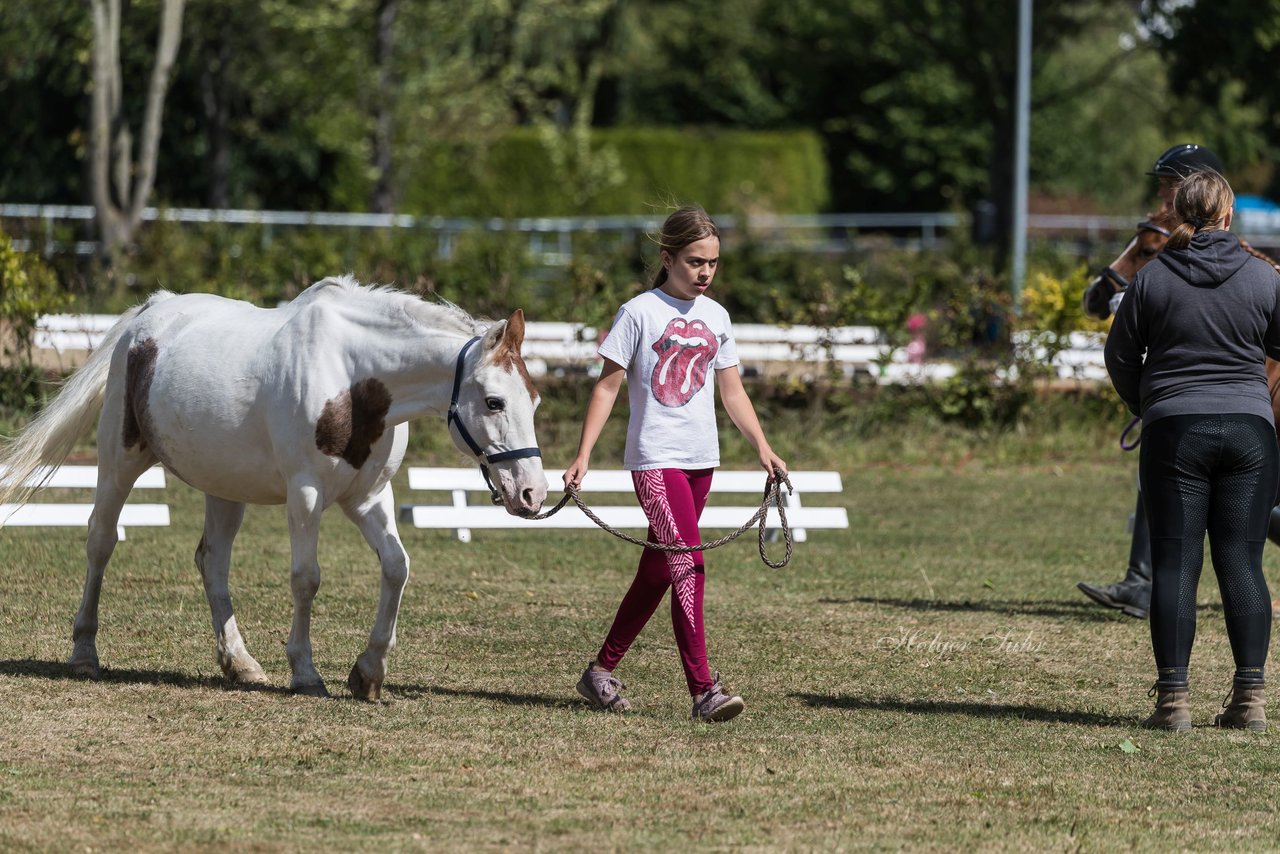 Bild 13 - Pony Akademie Turnier